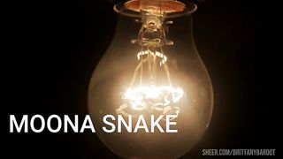 SLEEPY CREEPY DREAMS - Starring Moona Snake