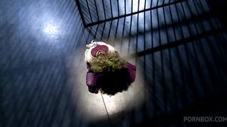 CLOSE UP BLOWJOB, TITTIE FUCK AND CUM SWALLOW