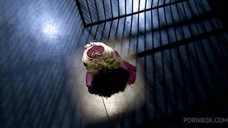 CLOSE UP BLOWJOB, TITTIE FUCK AND CUM SWALLOW