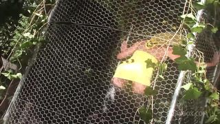 THE BITCHES MOANS WHEN SHE FEELS THE DICK INSIDE