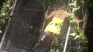 THE BITCHES MOANS WHEN SHE FEELS THE DICK INSIDE