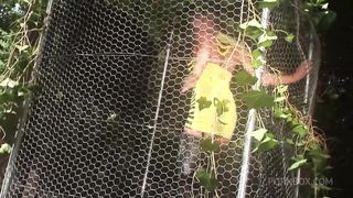 THE BITCHES MOANS WHEN SHE FEELS THE DICK INSIDE