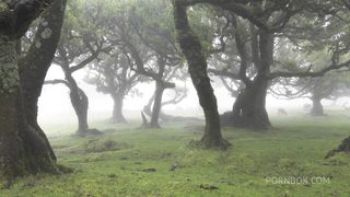 FUCKING THE HORNY GIRLS HARD WHILE SHE MOANS LOUD