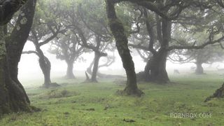 FUCKING THE HORNY GIRLS HARD WHILE SHE MOANS LOUD