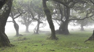 FUCKING THE HORNY GIRLS HARD WHILE SHE MOANS LOUD