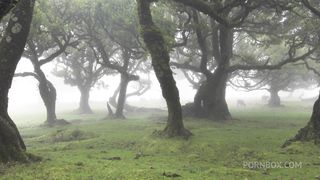 FUCKING THE HORNY GIRLS HARD WHILE SHE MOANS LOUD