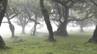 FUCKING THE HORNY GIRLS HARD WHILE SHE MOANS LOUD