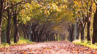 STUFFING WAS ABLE TO PERSUADE THE BEAUTY-FADDELINE FOR HOT SEX