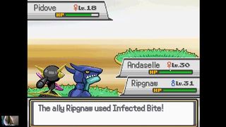 STUDIOUWU - UPDATE #73 - GRAVAR_2024_01_22_10_19_07_360 - MAR 11, 2024