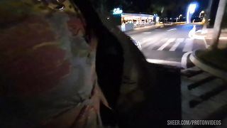 Pamela Pantera on a date Flirting and Gets fucked (Full Video)