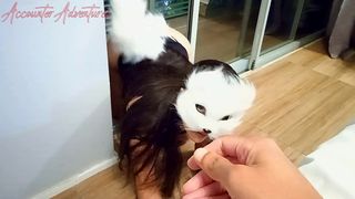 TICKLING THE YOUNG FOX - ACCOUNTER ADVENTURES