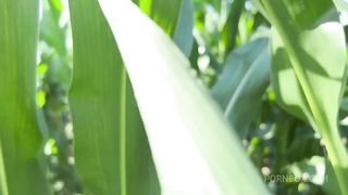 Getting Anal Abused in the CornField