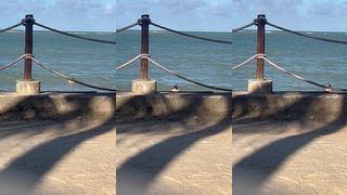 ALINEFLAVIO - UPDATE #29 - VID_20240511_102608_350.MP4_1 - MAY 11, 2024