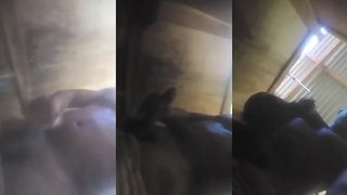 ACHEI NO MEU ANTIGO CELULAR.