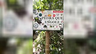 Comi o cuzinho da minha namorada