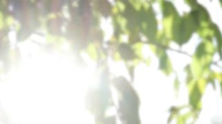 I called a gardener to tend my plants but he had to eat me for his technique to work.