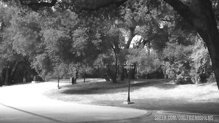 Prinzzess shows Angela and Veronica what it feels like to indulge in Sapphic delight