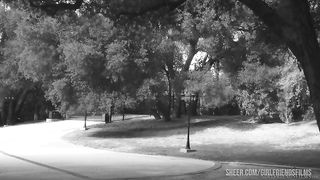 Prinzzess shows Angela and Veronica what it feels like to indulge in Sapphic delight