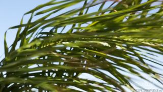 Daisy Summers gets the most intense pussy workout of her life with Prinzzess