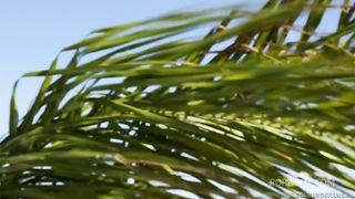 Daisy Summers gets the most intense pussy workout of her life with Prinzzess