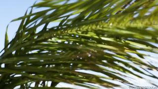 Daisy Summers gets the most intense pussy workout of her life with Prinzzess