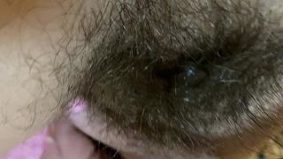 HAIRY BUSH CLOSEUP