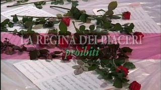 THE QUEEN OF FORBIDDEN PLEASURES