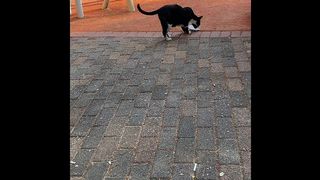 IGOGO - UPDATE #332 - МОЙ ФИЛЬМ 8 - JUL 28, 2024