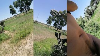 MART133 - ENSENANDO A LOS TRAILEROSE