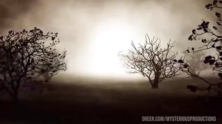 HAVE YOU EVER FUCKED A CLOWN - TAYLOR NICOLE AND MYSTER MYSTERIOUS