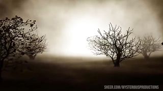 HAVE YOU EVER FUCKED A CLOWN - TAYLOR NICOLE AND MYSTER MYSTERIOUS