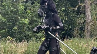PONYPLAY CART PULLING 1