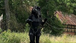 PONYPLAY TRAINING RUNNING IN CIRCLES