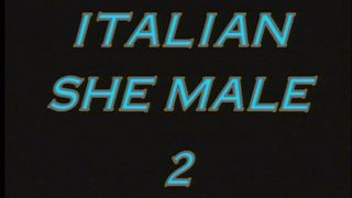 THE TRANSSEXUAL PLEASURE !