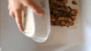 FAJITAS