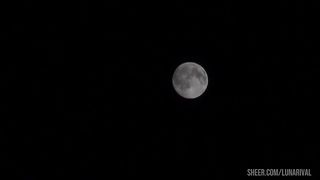 Hikers fucking in forest