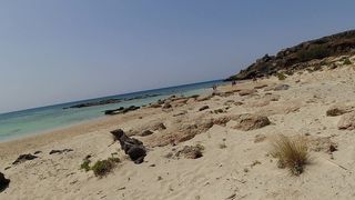 PUBLIC BLOWJOB AND CUM