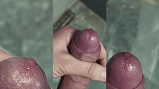 SZINAAF - UPDATE - STANDING ALONE