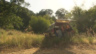 LAUREN PHOENIX HAS ALWAYS WANTED TO BE TAKEN TO A CLEARING IN THE WOODS AND FUCKED