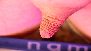 NEOSTINYDICK - MICROPENIS SPECIAL 2 [2024]