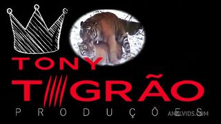 TAIS DAEVA nos BASTIDORES DO TIGRAO 1