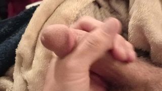 HETAPSHA313 - UPDATE #4 - VID_20241219_183715161 - DEC 20, 2024