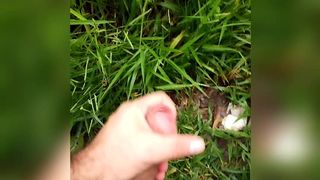 ESTAVA ANDADO NO PARQUE UM CARA MORENO ME VIU E ME FEZ MAMAR E ME FUDEU GOSTOSO.