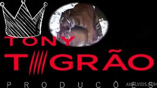 ESPECIAL 1 ANO DE CANAL parte 3