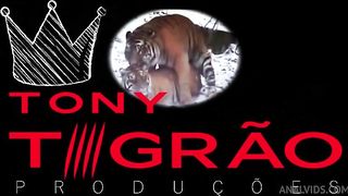 ESPECIAL 1 ANO DE CANAL parte 3