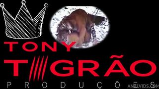 ESPECIAL 1 ANO DE CANAL parte 3