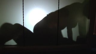 SILHOUETTE FUN BY LUCI CLARE AND MR_MOBYDICK