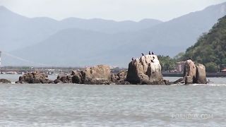 Encontramos a ninfeta na praia, deliciosa, levamos para foder em casa