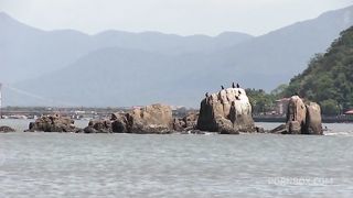Encontramos a ninfeta na praia, deliciosa, levamos para foder em casa