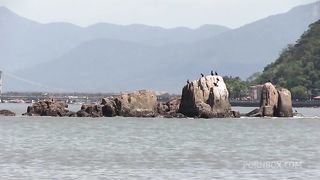 Encontramos a ninfeta na praia, deliciosa, levamos para foder em casa